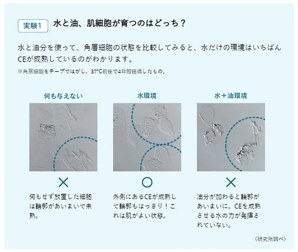 オイルカットについての実験結果写真