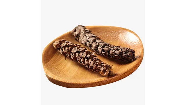 気虚におすすめな漢方薬