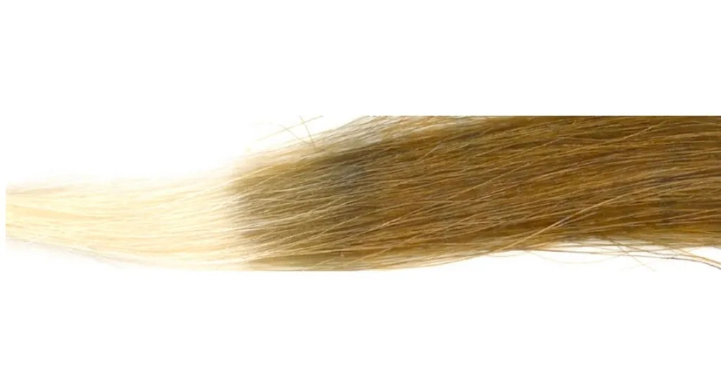 ヘナ50%、インディゴ50%での仕上がり