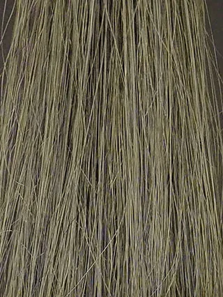 利尻昆布白髪用カラーシャンプーの染毛結果写真