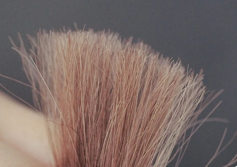 AmSkカラーシャンプーブラウンの染毛写真