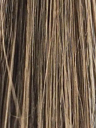 モデムビューティーブラウン5回染毛