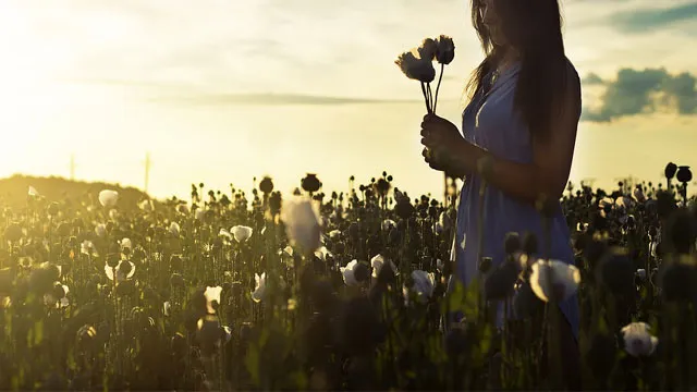 B.Aシリーズの口コミを参考に体感してみよう