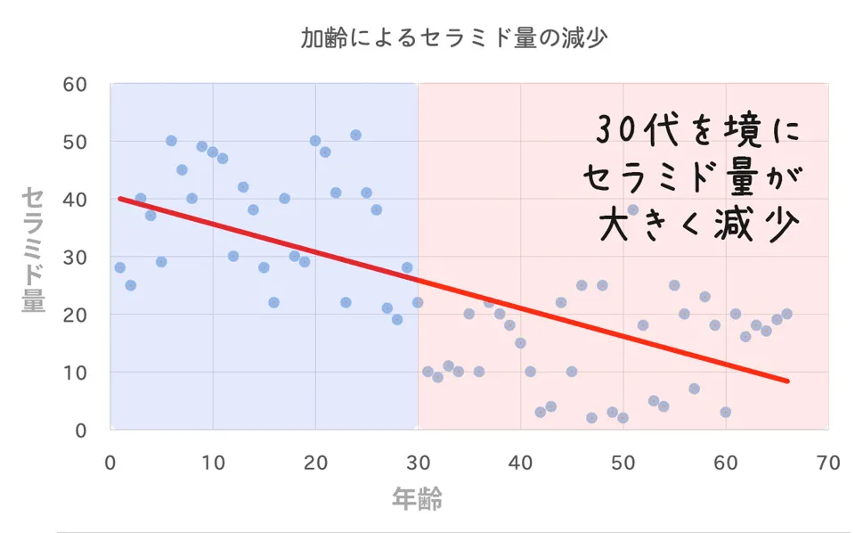 加齢によるセラミド量の減少