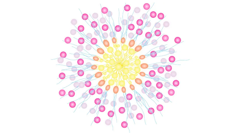 美肌浸透ミセル