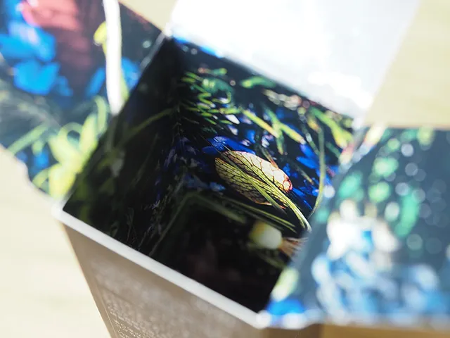 BAプロテクターの箱内部