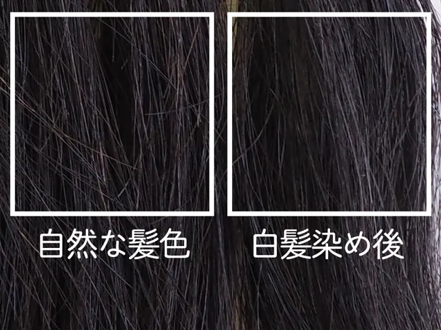 黒髪を白髪染めトリートメントで染めてみた