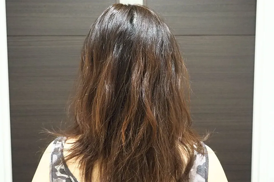 使用前の髪質