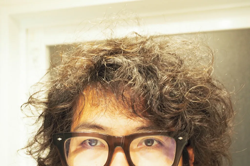 ドライヤー後の髪質