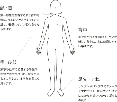 全身の肌にアプローチするディフェンセラ