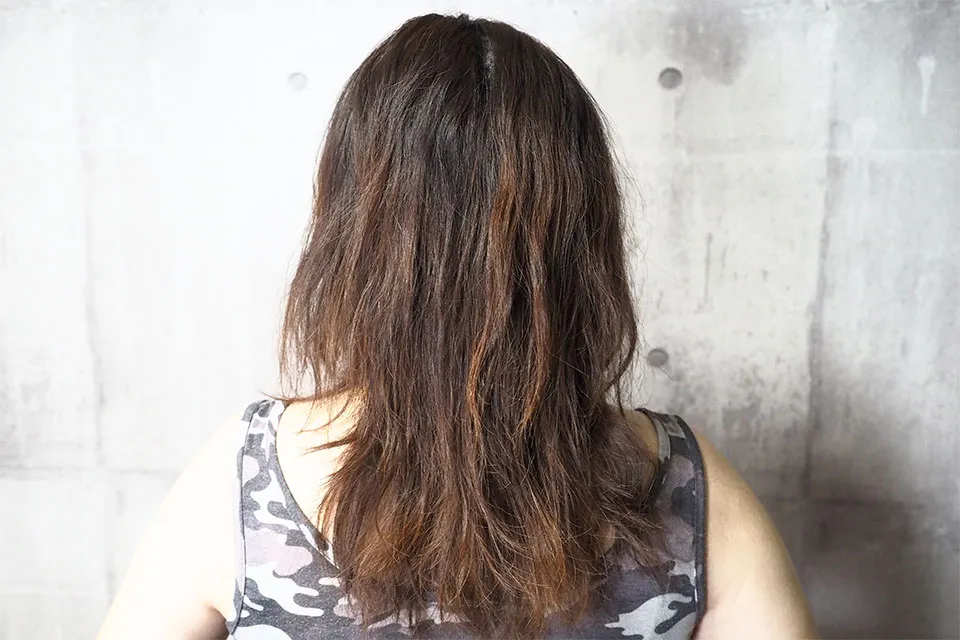 オイル使用前の髪の毛