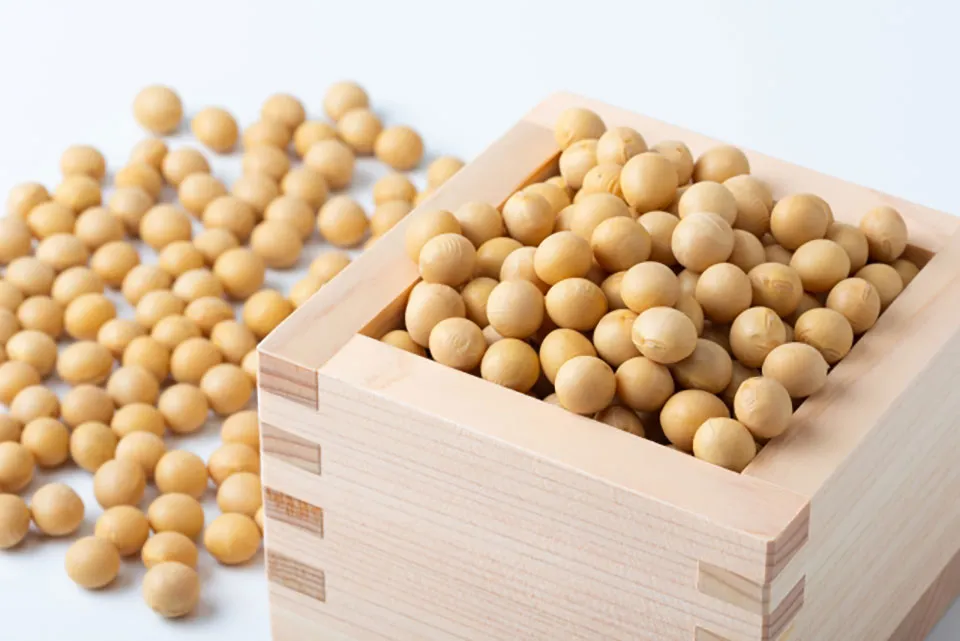 ダイズエキスの画像