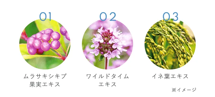 オルビスアクアの商品画像