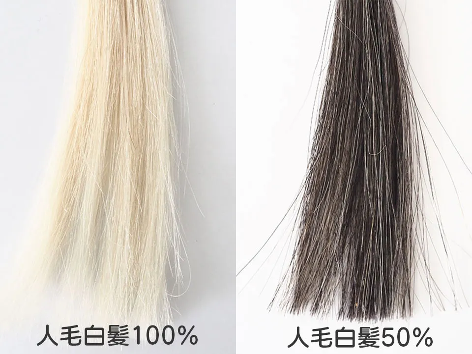 染毛テストに使用した白髪割合100%の人毛毛束と白髪割合50%の人毛毛束