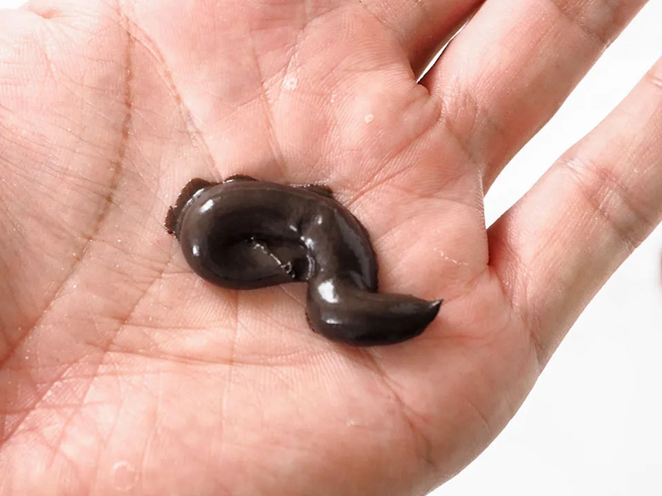 ハイステップのテクスチャ