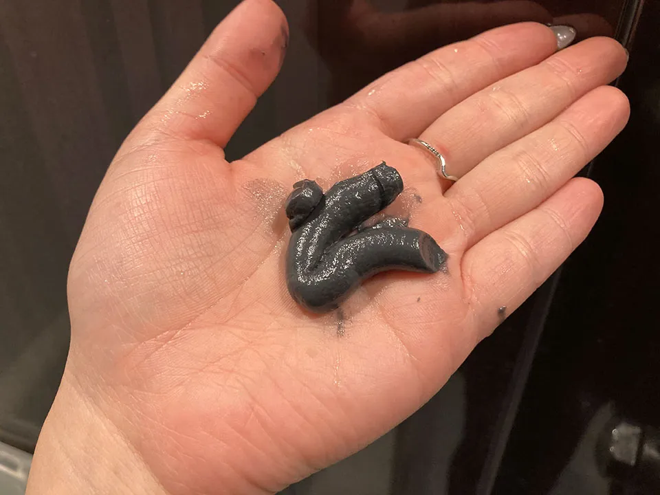 クレムドアンブラックシャンプーを手に出している画像