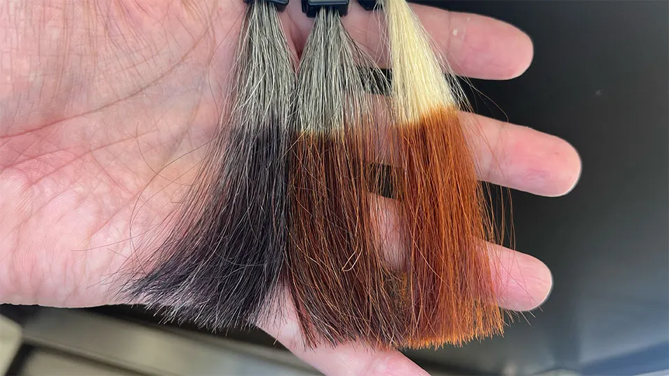 ブラックとベージュブラウンの染まりを比較