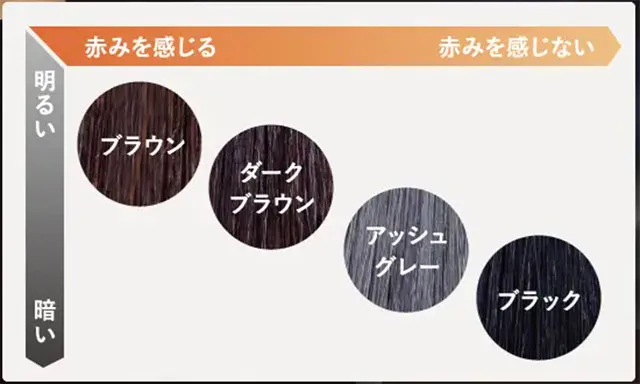 デイラルカラー全4色の染まりを徹底検証。口コミ分析＆専門家の