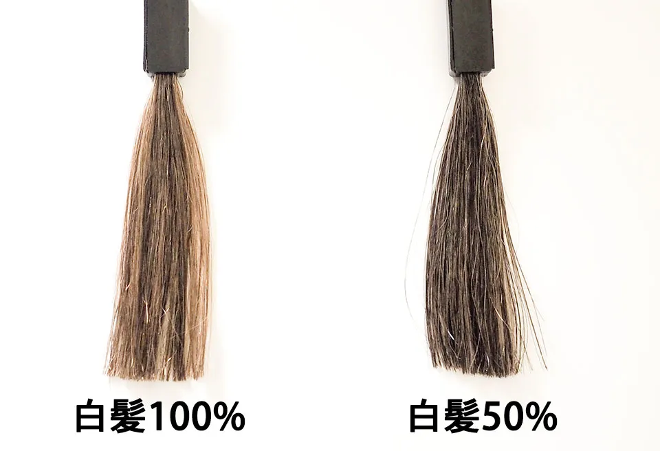 ブラックデュアルトリートメント15分1回目の染毛テストの写真