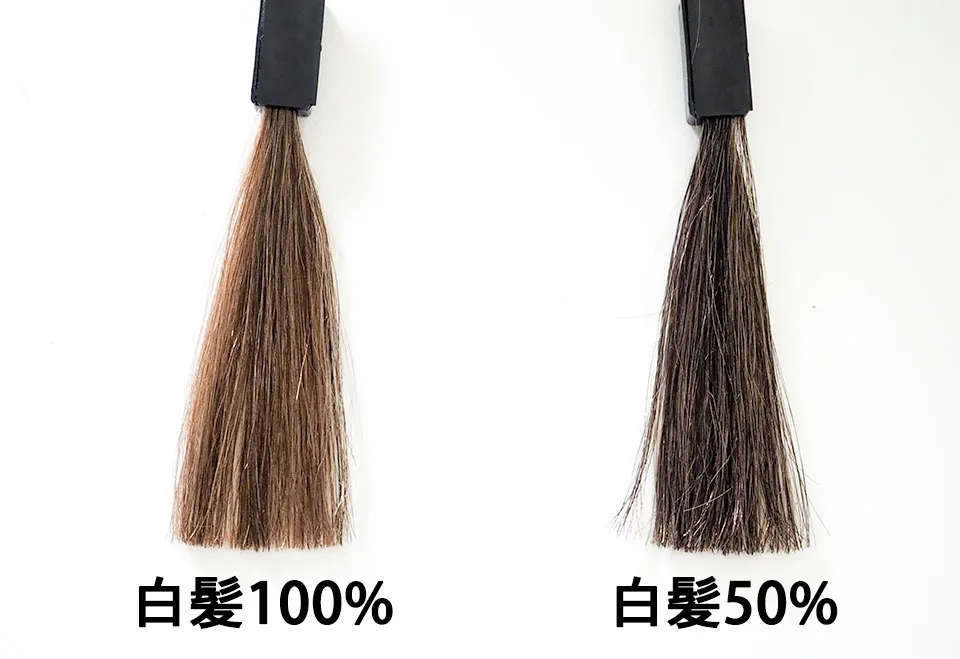 ブラックデュアルトリートメント15分3回目の染毛テストの写真