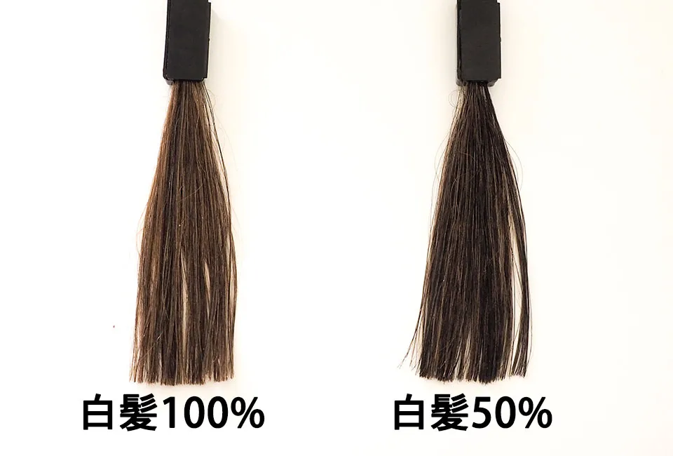 ブラックデュアルトリートメント15分5回目の染毛テストの写真