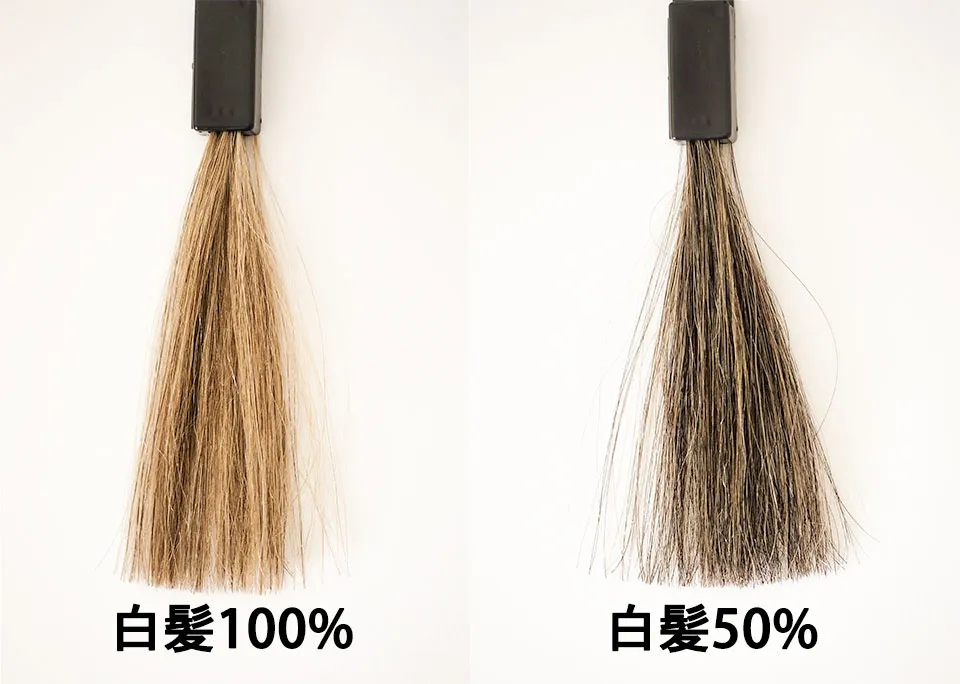 ブラックデュアルトリートメント3分間の染毛テストの結果の写真