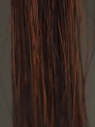 LPLPブラウン50%白髪5回染毛