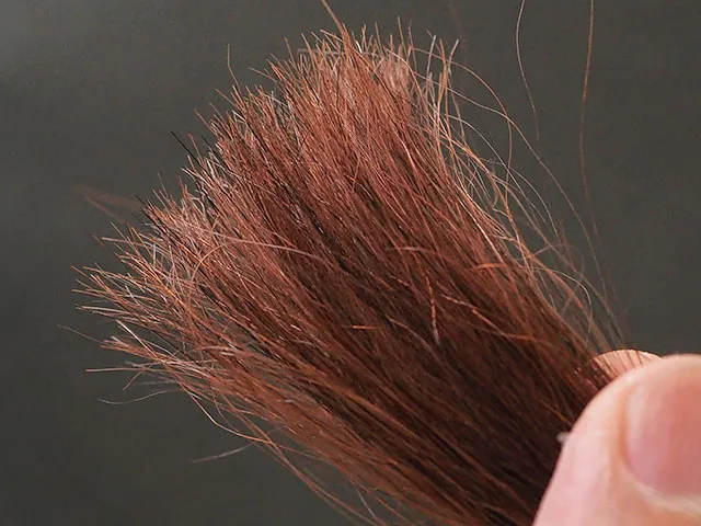 LPLPダークブラウン5回染毛時の毛先