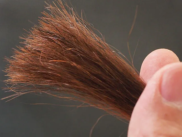 LPLPモカブラウン5回染毛時の毛先