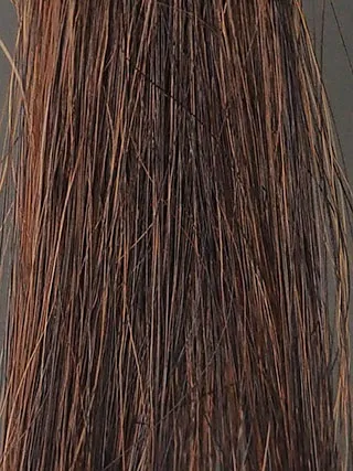 LPLPモカブラウン50%白髪5回シャンプー