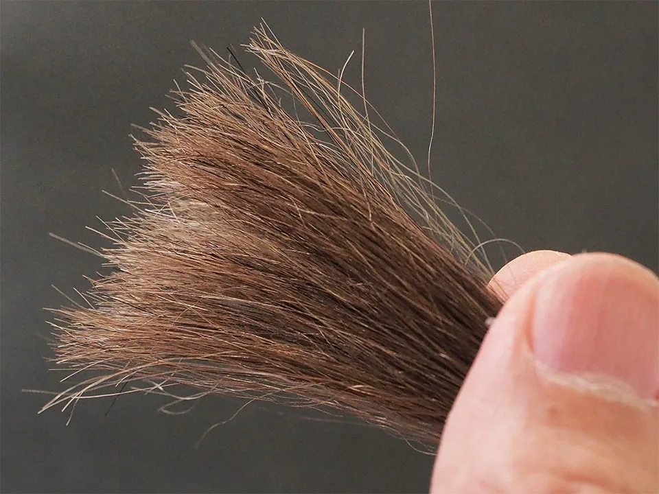 LPLPソフトブラック5回染毛時の毛先