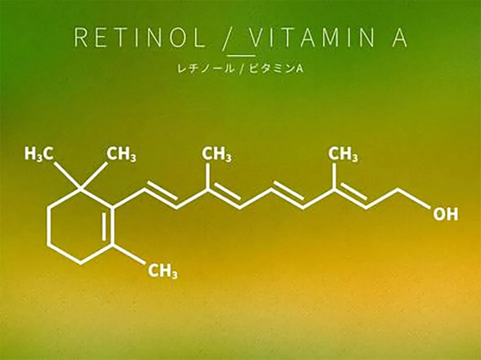 レチノール写真