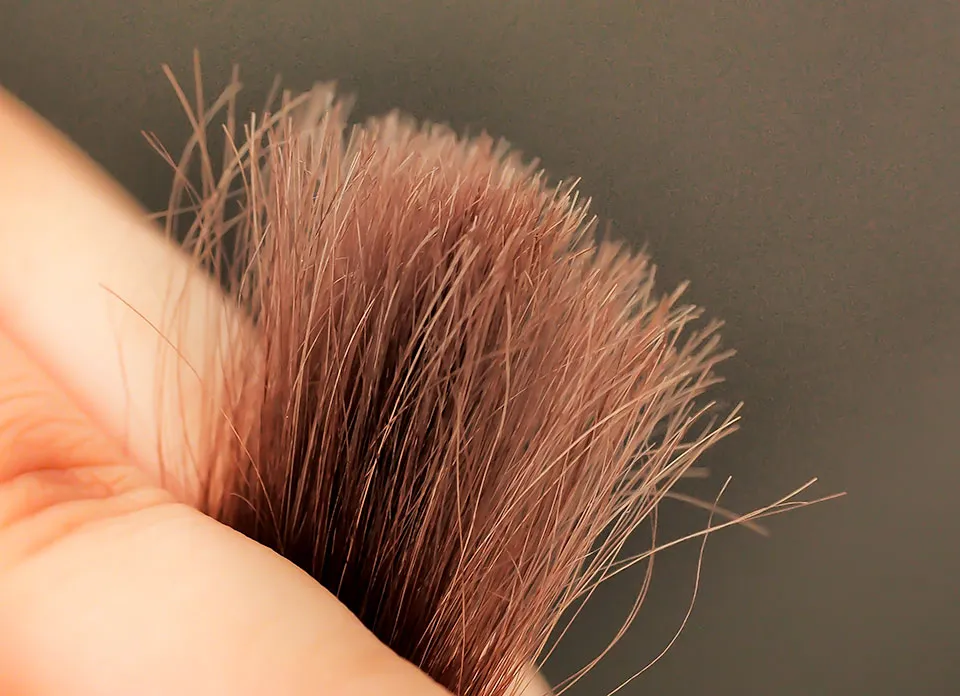 黒クリームシャンプーの染毛毛束と商品の写真