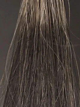 ビゲンアッシュブラウン50%白髪3回染毛