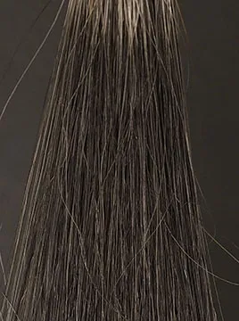 ビゲンアッシュブラウン50%白髪5回染毛