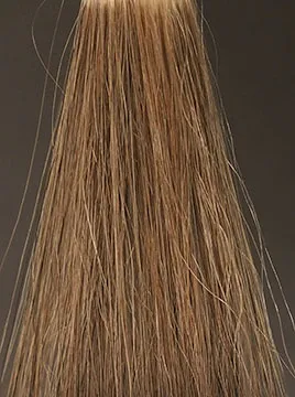 ビゲンダークブラウン1回染毛