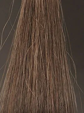 ビゲンダークブラウン5回染毛