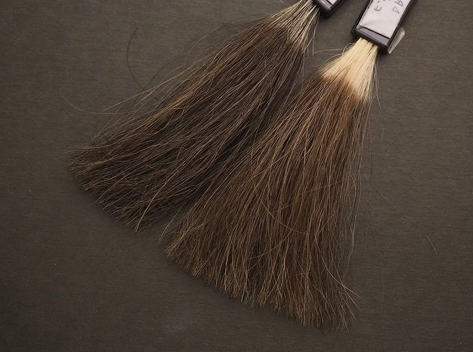 ビゲンカラートリートメントでの5回染毛時