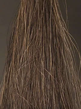 ビゲンダークブラウン50%白髪2回染毛