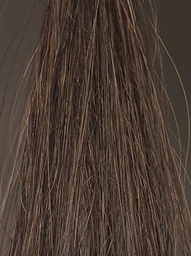 ビゲンダークブラウン50%白髪5回染毛