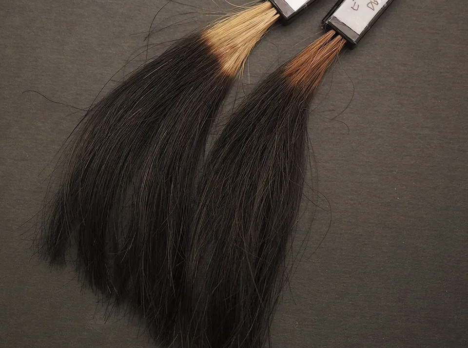 ビゲンカラートリートメントでのブリーチ・ハイブリーチ毛の染毛比較