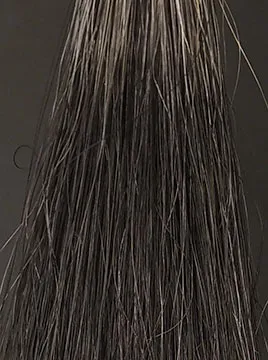 ビゲンナチュラルブラック50%白髪5回染毛