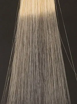 デイラルカラー カラートリートメントアッシュグレイ1回染毛