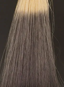 デイラルカラー カラートリートメントアッシュグレイ2回染毛