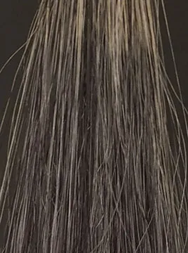 ヘアカラートリートメント デイラルカラー アッシュグレー 200g×4本セット ヘアカラートリートメント デイラルカラー アッシュグレー 200g