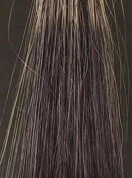 デイラルカラー カラートリートメントアッシュグレイ50%白髪2回染毛