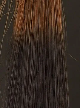 デイラルカラー カラートリートメントアッシュグレイブリーチ毛3回染毛