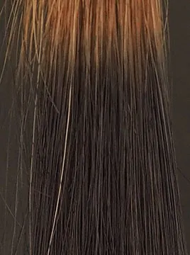 ヘアカラー トリートメント ディラルカラー 200g ブラウン　未開封 楽天市場】DayRalColor デイラルカラー ブラウン ダークブラウン