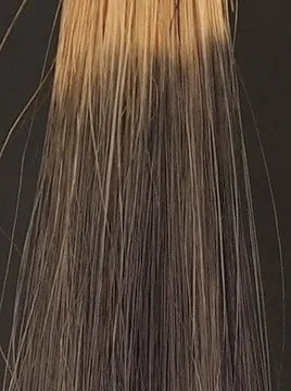 デイラルカラーヘアトリートメント４本セット デイラルカラー全4色の染まりを徹底検証。口コミ分析＆専門家の