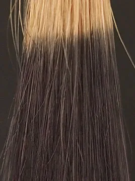 デイラルカラー カラートリートメントアッシュグレイハイブリーチ毛2回染毛